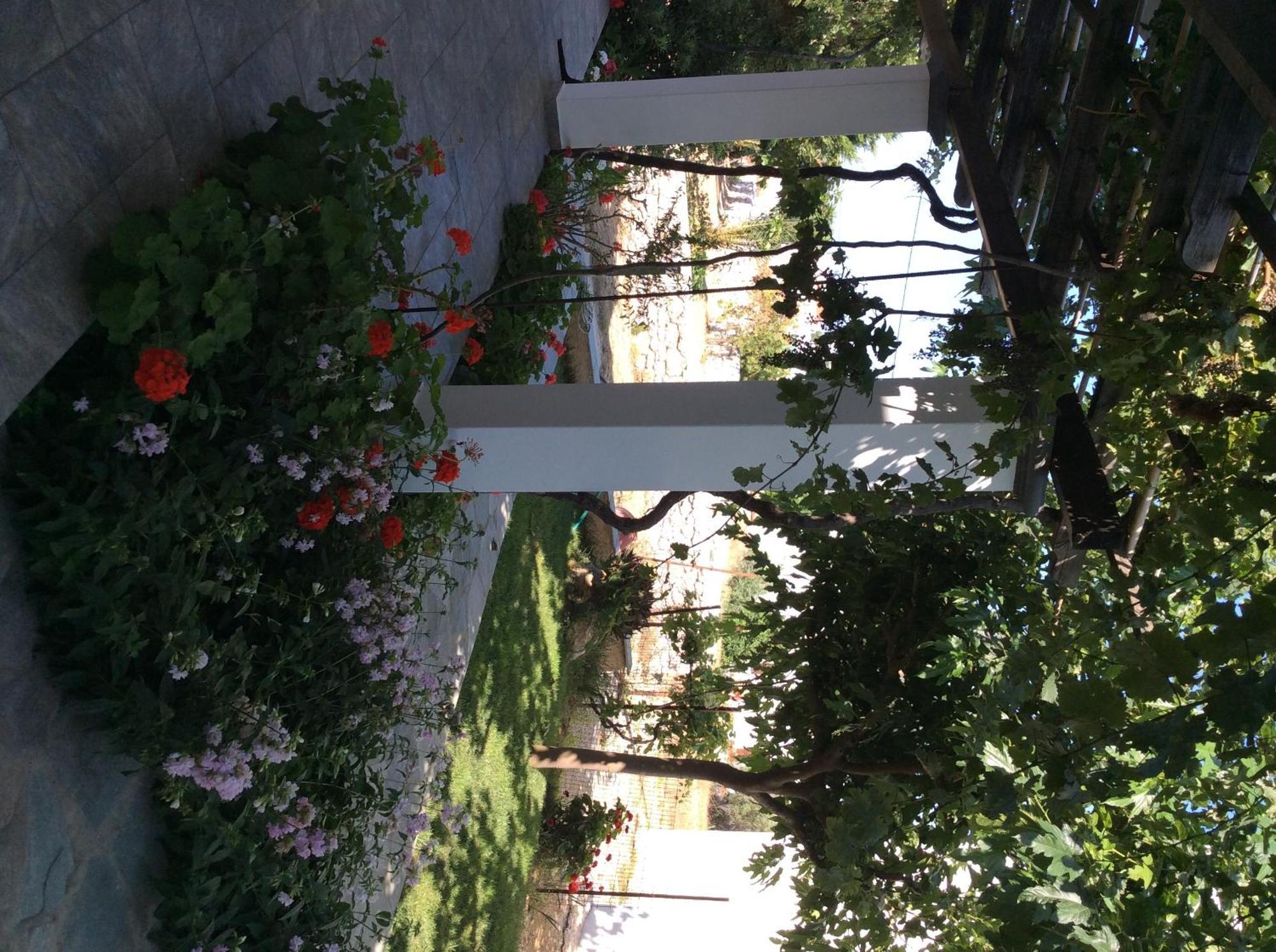 Eleana Studios Skyros Buitenkant foto