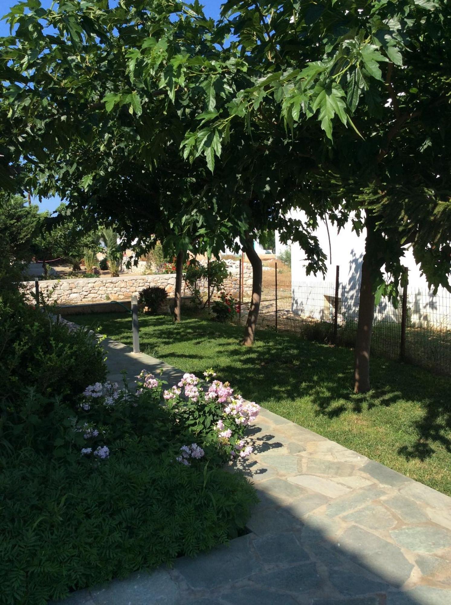 Eleana Studios Skyros Buitenkant foto