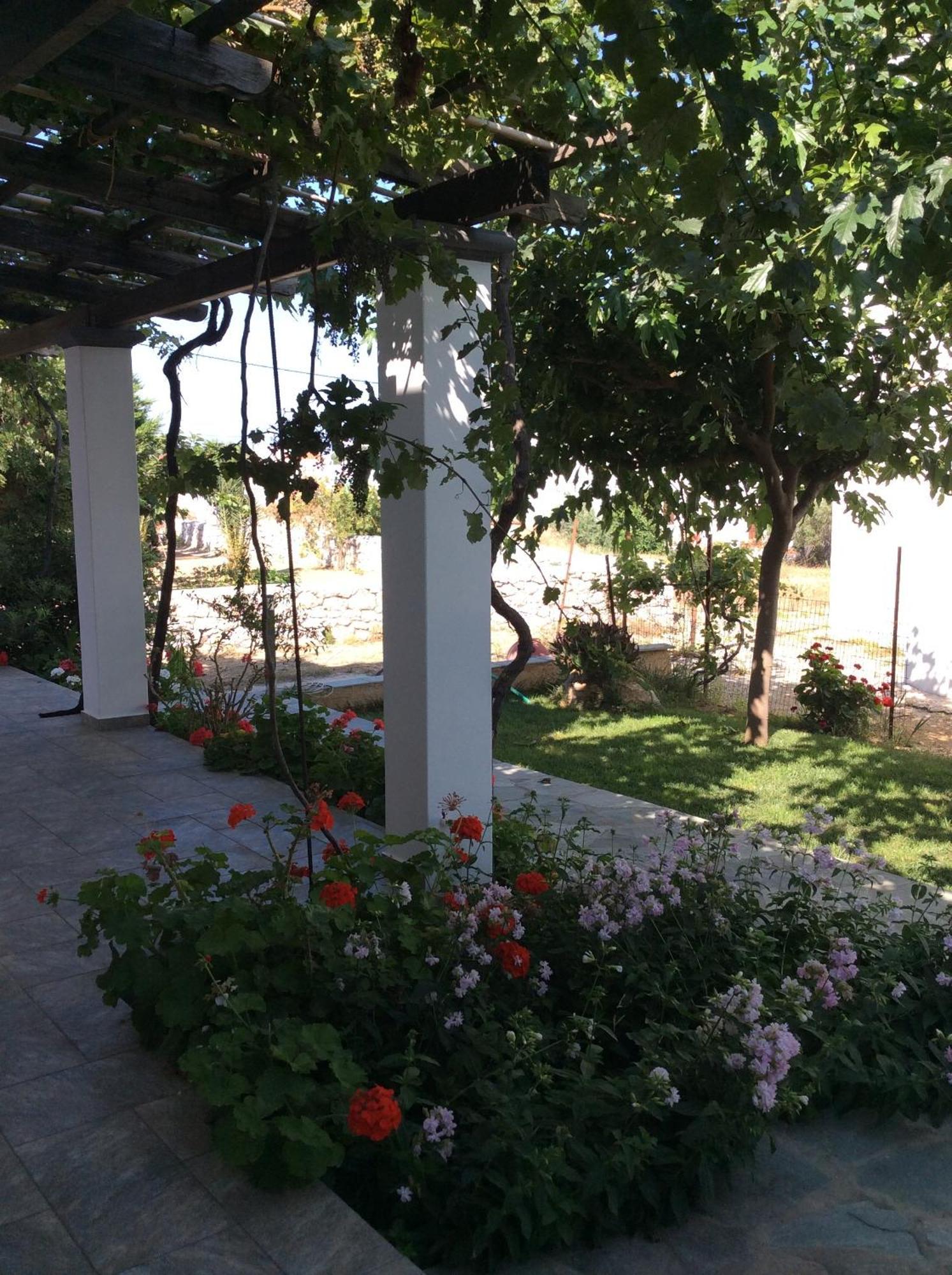 Eleana Studios Skyros Buitenkant foto