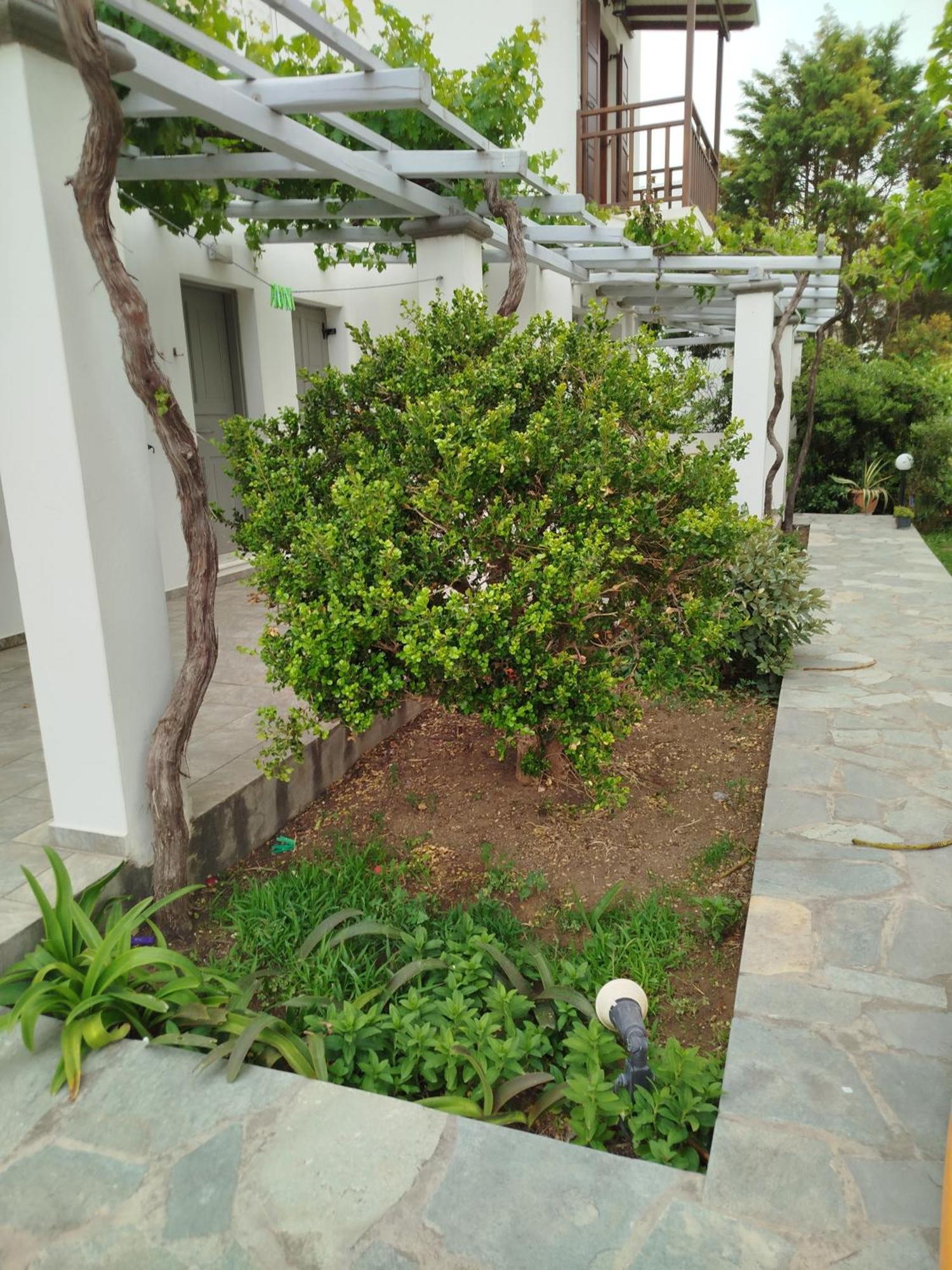 Eleana Studios Skyros Buitenkant foto